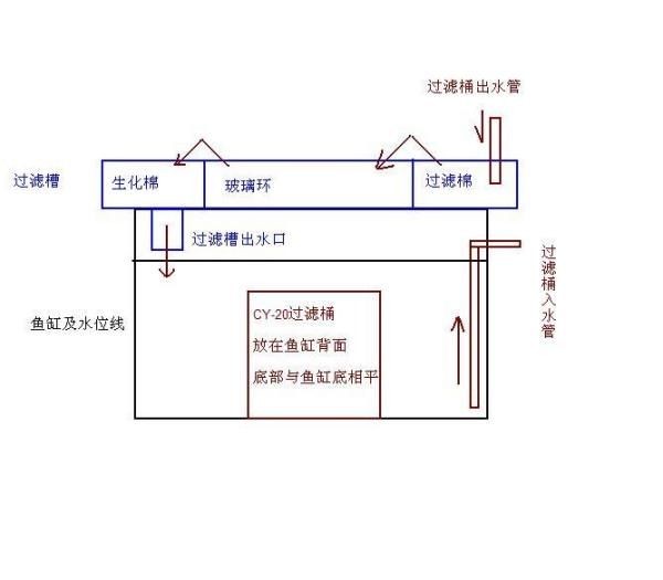 魚缸過濾系統設計指南：魚缸過濾系統設計