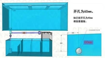 魚缸過濾系統設計指南：魚缸過濾系統設計