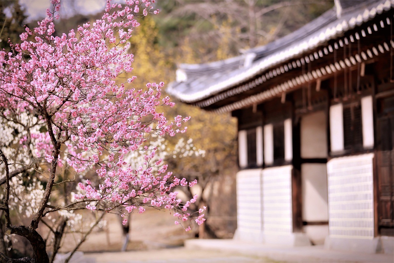 神木梅子花卉園林綠化有限公司（神木梅苑酒店預訂電話） 神木梅子花卉園林綠化有限公司（神木梅苑酒店預訂電話） 全國水族館企業名錄 第3張