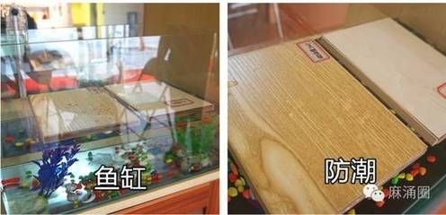 魚缸保溫材料效果比較：不同保溫材料對觀賞效果的影響