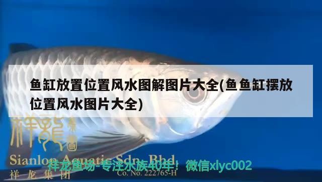 南京市浦口區惠眾花店