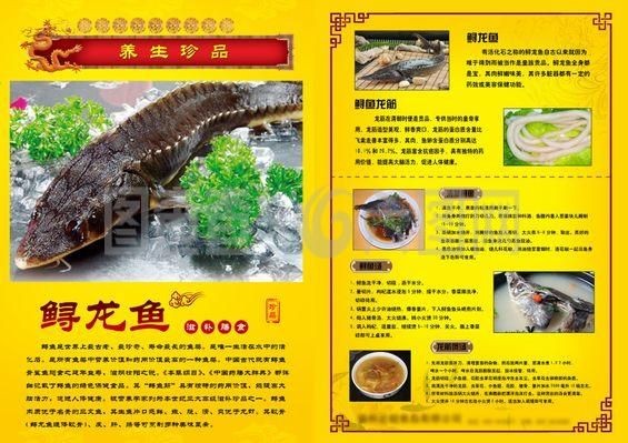 龍魚漲肚怎么回事：龍魚漲肚原因及其治療方法詳細解釋龍魚漲肚的原因及治療方法