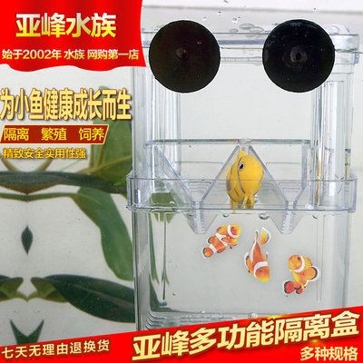 魚缸清洗方法：德彩魚缸清洗方法 魚缸清洗方法：德彩魚缸清洗方法 魚缸百科 第1張