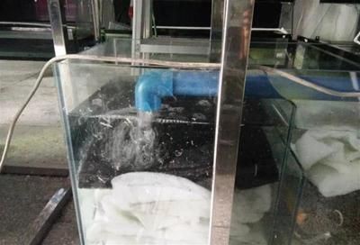 魚缸過濾棉怎么使用視頻：魚缸過濾棉怎么使用視頻詳情魚缸過濾棉的使用方法