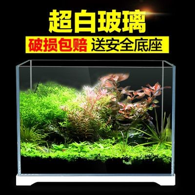 森森魚缸顯示屏換線,森森魚缸顯示屏尺寸型號(hào)查詢魚缸顯示屏安裝視頻教程 魚缸百科 第3張 森森魚缸顯示屏換線,森森魚缸顯示屏尺寸型號(hào)查詢魚缸顯示屏安裝視頻教程 森森魚缸顯示屏換線,森森魚缸顯示屏尺寸型號(hào)查詢魚缸顯示屏安裝視頻教程 魚缸百科 第3張