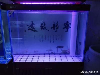 底濾魚缸組裝（底濾魚缸如何組裝？）