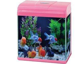 普菲特魚缸1.5米多少錢：普菲特1.5米魚缸價格