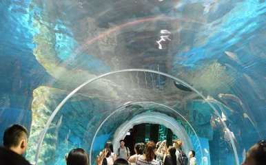 香港水族館（海洋公園海洋館門票預訂）