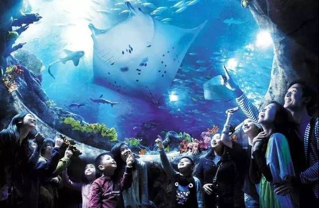 香港水族館（海洋公園海洋館門票預訂）
