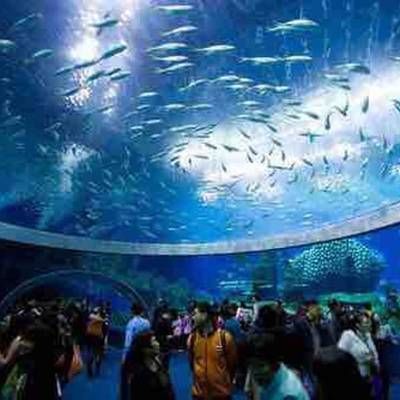 香港水族館（海洋公園海洋館門票預訂）