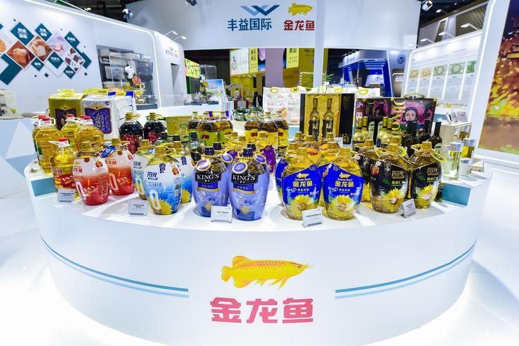 大連龍魚專賣店