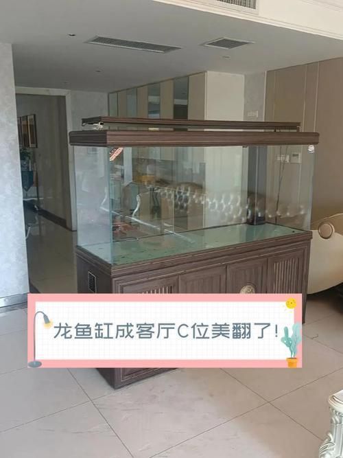 龍魚魚缸擺放位置圖 龍魚魚缸擺放位置圖 龍魚百科 第4張