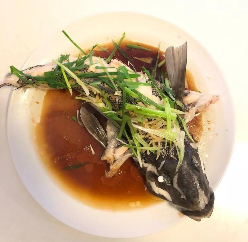 藍斑魚是什么品種