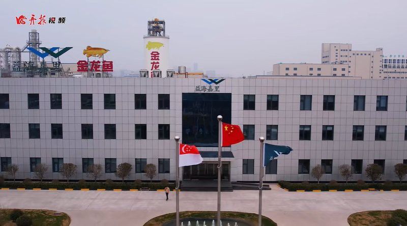 開封金龍魚公司怎么樣啊