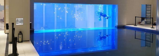 家里放半圓魚缸好嗎，半圓魚缸搭配家具建議 家里放半圓魚缸好嗎，半圓魚缸搭配家具建議 龍魚百科 第6張