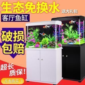 鯊魚能和龍魚混養么？（鯊魚可以和龍魚混養嗎？） 鯊魚能和龍魚混養么？（鯊魚可以和龍魚混養嗎？） 龍魚百科 第2張