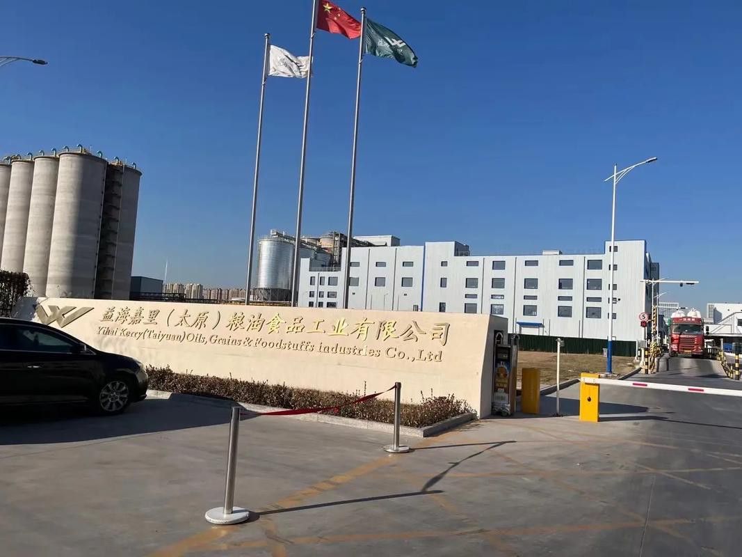 白城金龍魚公司簡介圖片高清大全