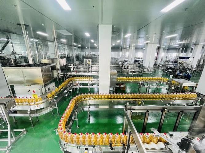 白城金龍魚公司簡介圖片高清大全