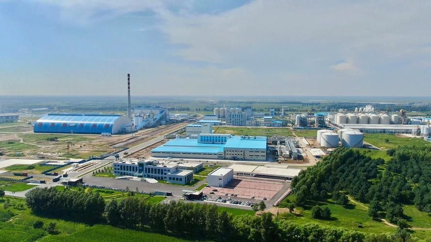 白城金龍魚公司簡介圖片高清大全