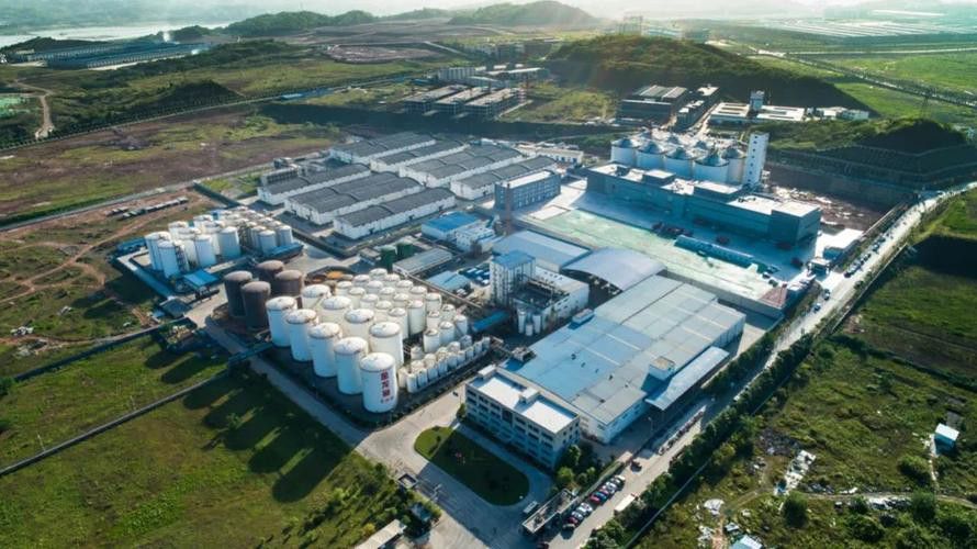 白城金龍魚公司簡介圖片高清大全