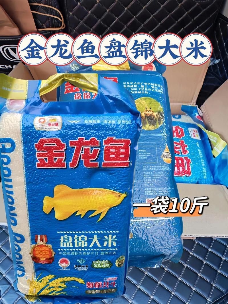 白城金龍魚公司簡介圖片高清大全