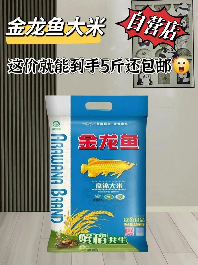 白城金龍魚公司簡介圖片高清大全