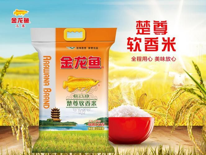 白城金龍魚公司簡介圖片高清大全