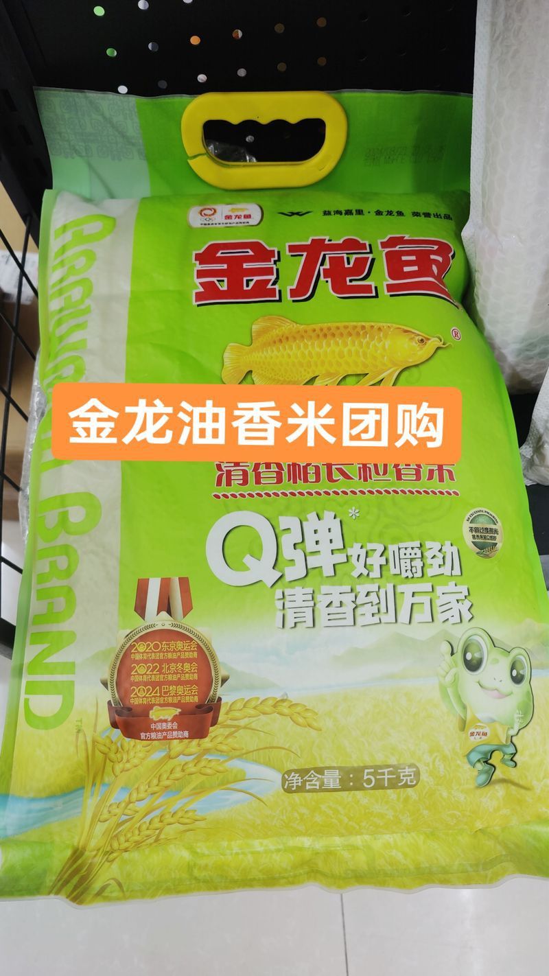 白城金龍魚公司簡介圖片高清大全