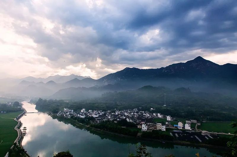 金龍潭有哪些珍稀動植物？ 金龍潭有哪些珍稀動植物？ 龍魚百科 第2張