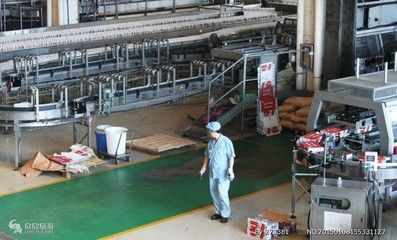 金龍魚員工算國企正式員工嗎（金龍魚員工屬于國企正式員工嗎？）