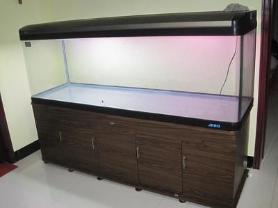 好一點(diǎn)的魚缸過濾器，外掛式過濾器適合哪種魚缸？ 好一點(diǎn)的魚缸過濾器，外掛式過濾器適合哪種魚缸？ 龍魚百科 第6張