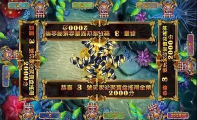 龍魚大戰超級玩家（《龍魚大戰超級玩家》游戲評測）