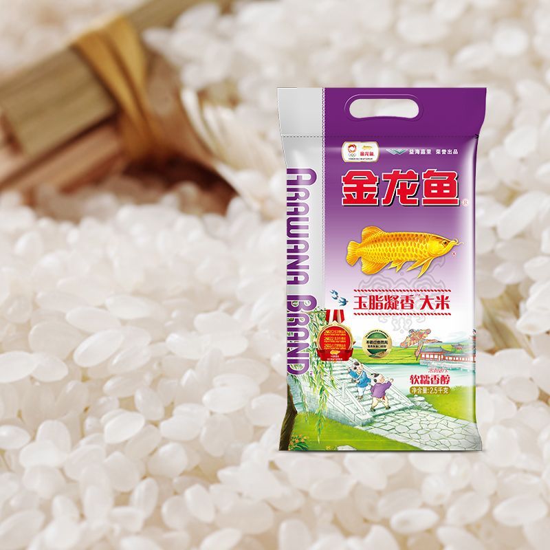 魚缸 巴卡雷龍魚飼養技巧分享,巴卡雷龍魚繁殖技巧詳解 龍魚百科 巴卡雷龍魚飼養技巧分享,巴卡雷龍魚繁殖技巧詳解 巴卡雷龍魚飼養技巧分享,巴卡雷龍魚繁殖技巧詳解 龍魚百科