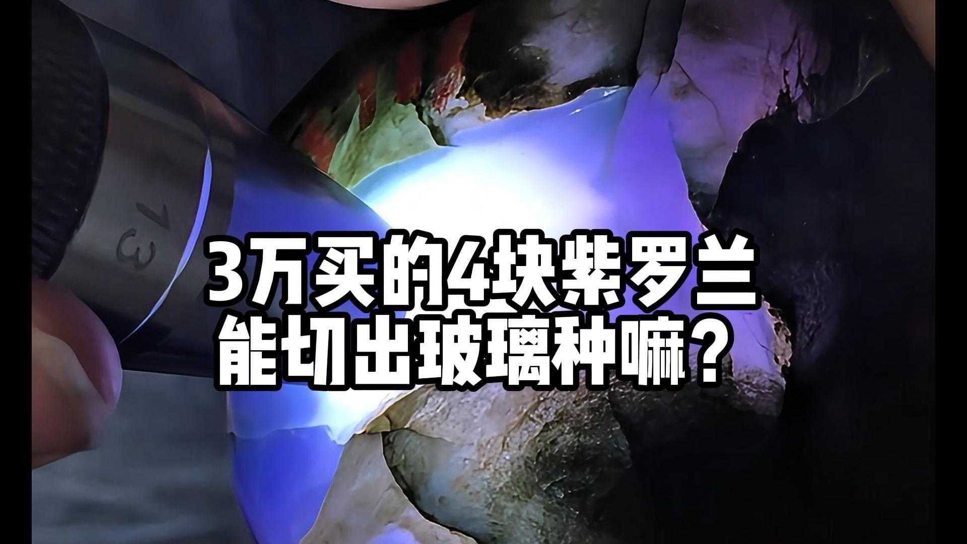 紅龍魚怎么分辨公母【ai搜集總結(jié)：紅龍魚母魚公母的區(qū)別分析關(guān)鍵詞紅龍魚公母的區(qū)別】