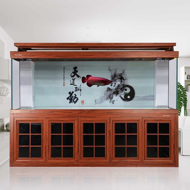 冬天龍魚缸溫度多少合適（關于冬季龍魚缸的溫度控制的具體建議龍魚水溫多少合適） 冬天龍魚缸溫度多少合適（關于冬季龍魚缸的溫度控制的具體建議龍魚水溫多少合適） 龍魚百科 第1張