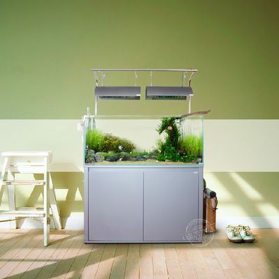 冬天龍魚缸溫度多少合適（關于冬季龍魚缸的溫度控制的具體建議龍魚水溫多少合適） 冬天龍魚缸溫度多少合適（關于冬季龍魚缸的溫度控制的具體建議龍魚水溫多少合適） 龍魚百科 第3張