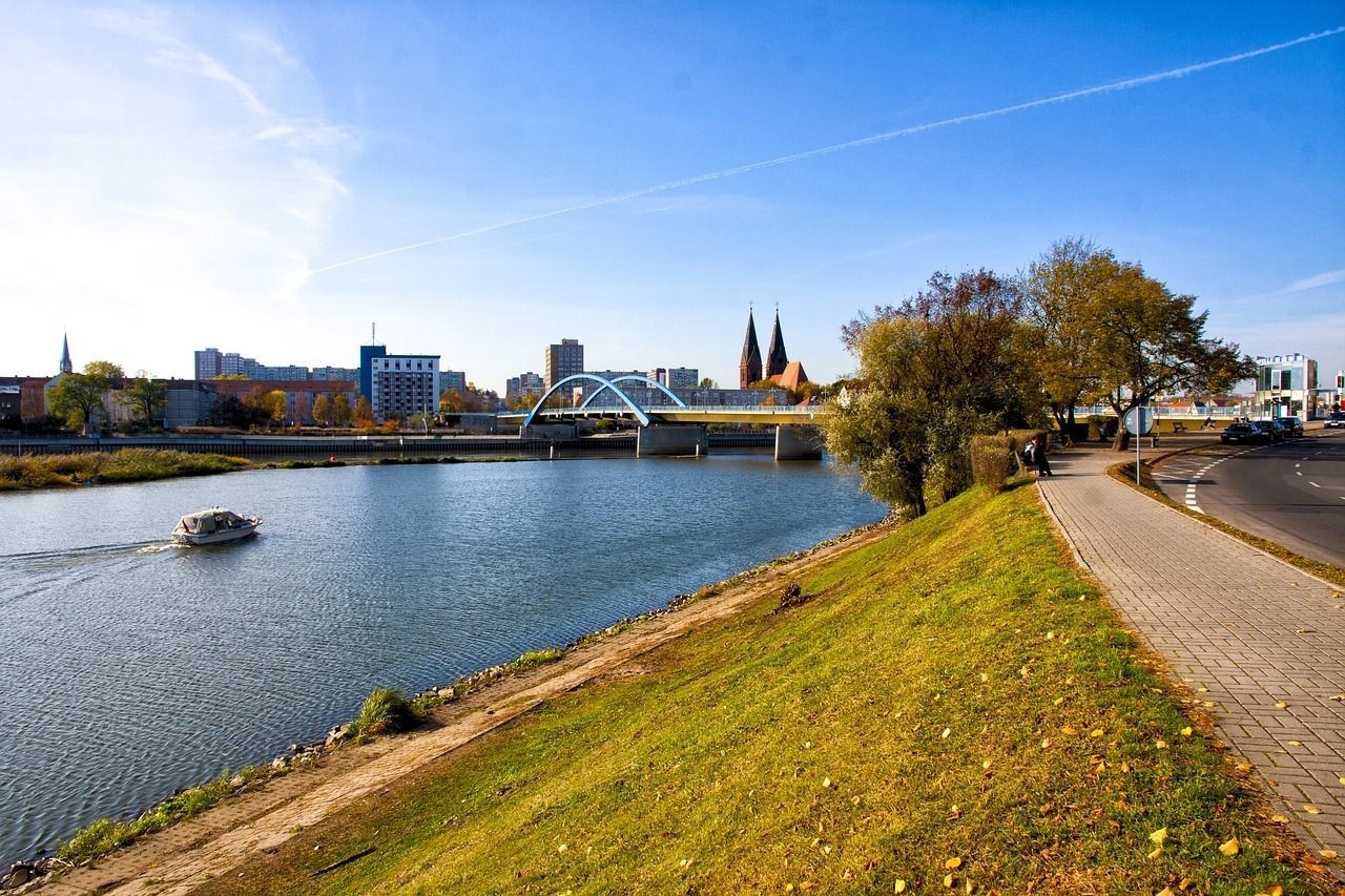 金龍魚最佳混養魚：金龍魚混養怎么喂食
