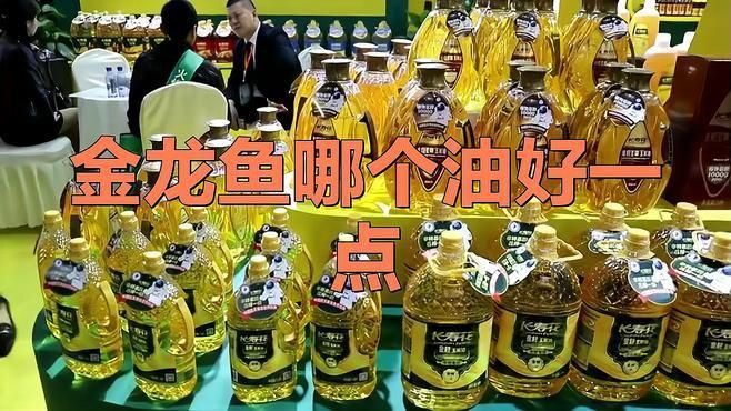 金龍魚建議買什么油
