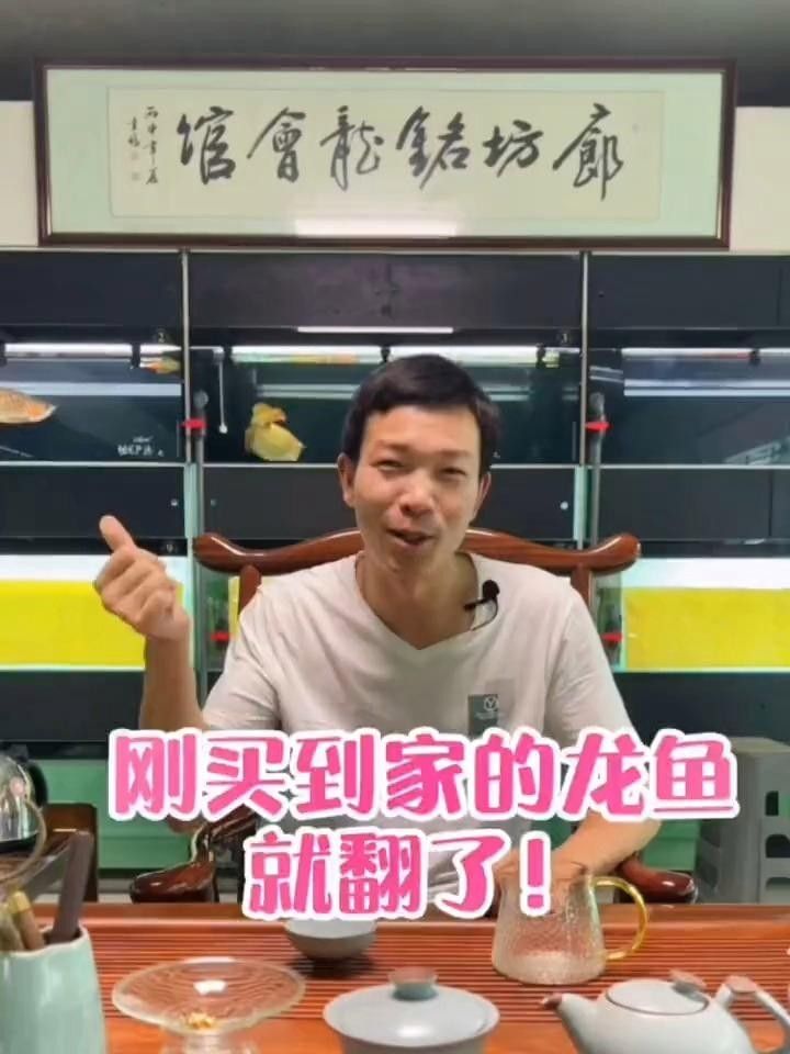 龍魚(yú)生病后如何急救？