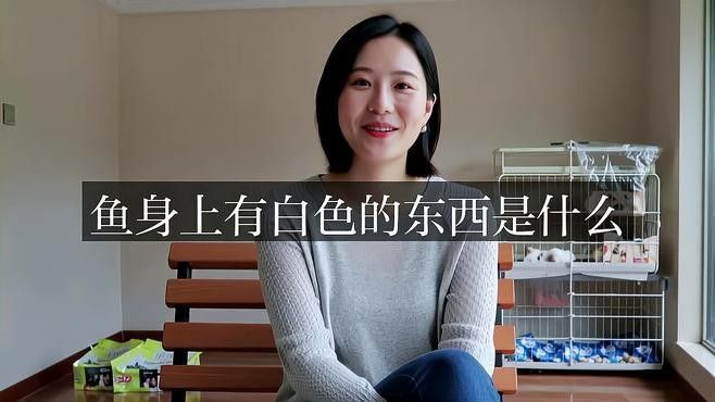 銀龍魚身上魚鱗發白怎么回事