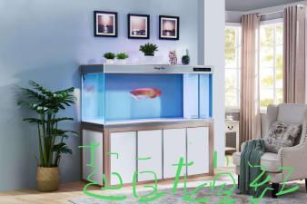 龍魚缸的最佳尺寸長寬高？：養龍魚缸的最佳尺寸選擇龍魚缸的最佳尺寸是多大尺寸