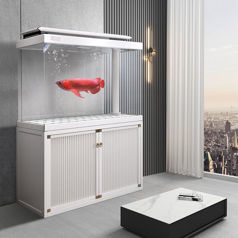 龍魚缸的最佳尺寸長寬高？：養龍魚缸的最佳尺寸選擇龍魚缸的最佳尺寸是多大尺寸