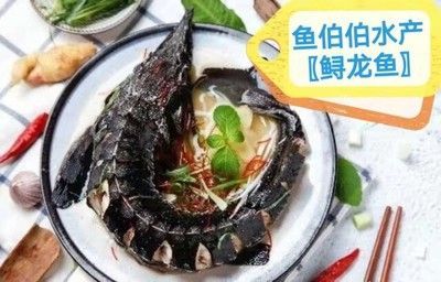 椒鹽水龍魚的做法竅門（椒鹽水龍魚的做法）