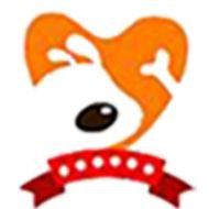 錦鯉是金魚嗎？