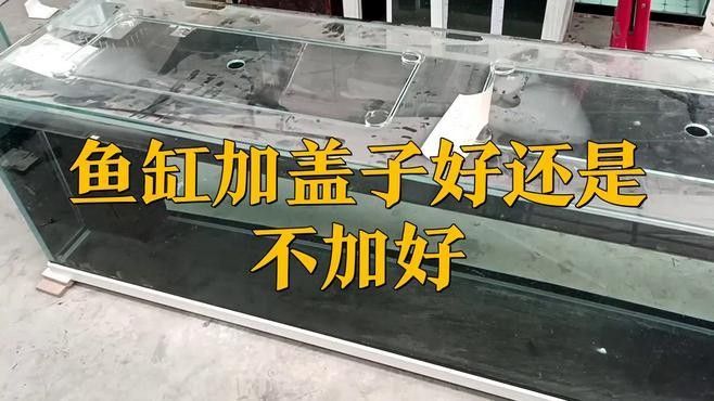 龍魚缸加蓋的價(jià)格范圍是多少？