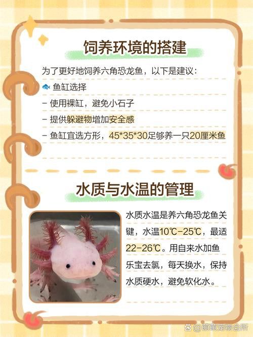 恐龍魚吃東西的樣子