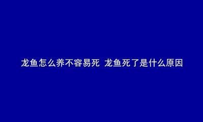 龍魚能撐死嗎為什么：龍魚不會因為撐食而死亡，喂養(yǎng)過程中應注意適量和營養(yǎng)均衡