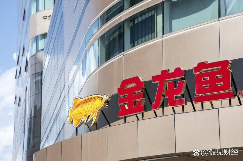 金龍魚臺灣企業(yè)