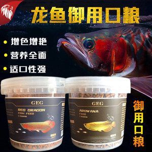 紅龍魚喂飼料好嗎怎么喂的：紅龍魚喂飼料好嗎 紅龍魚喂飼料好嗎怎么喂的：紅龍魚喂飼料好嗎 龍魚百科 第2張
