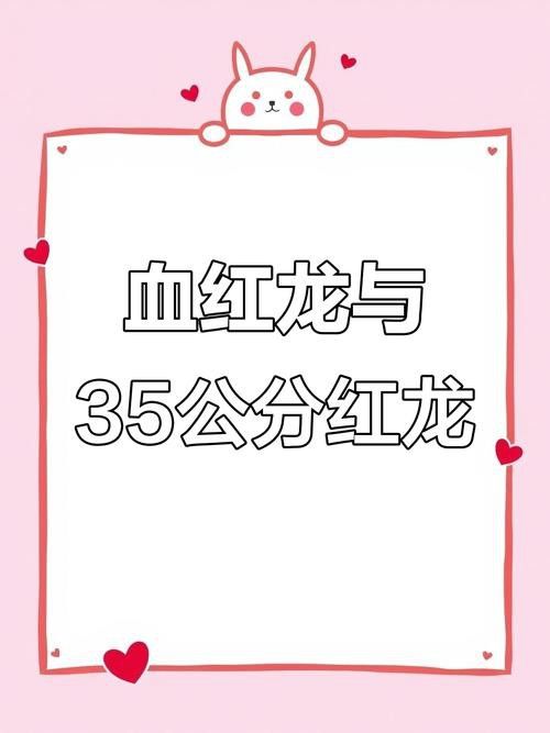 龍魚進口流程視頻教程下載：龍魚進口流程教程